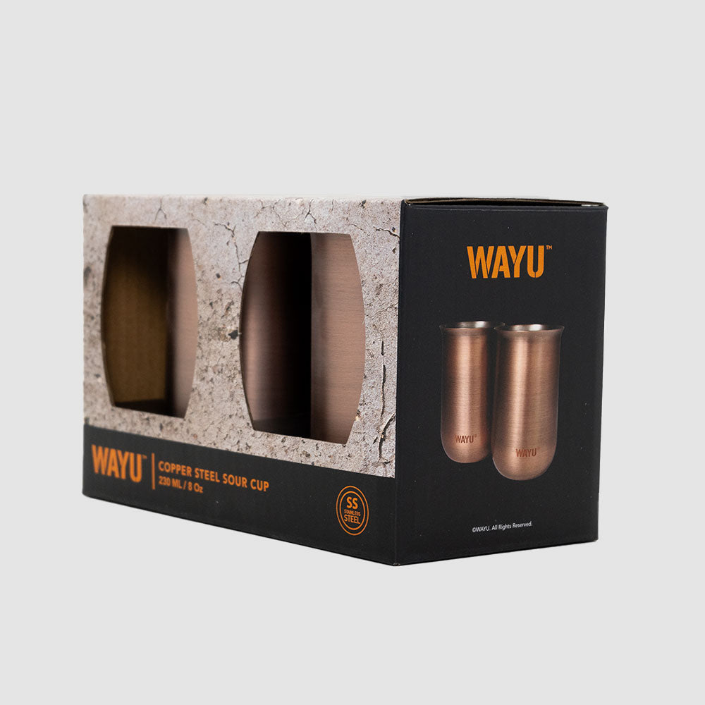 
                  
                    Set 2 Vasos Aperitivo Copper Line Wayu
                  
                