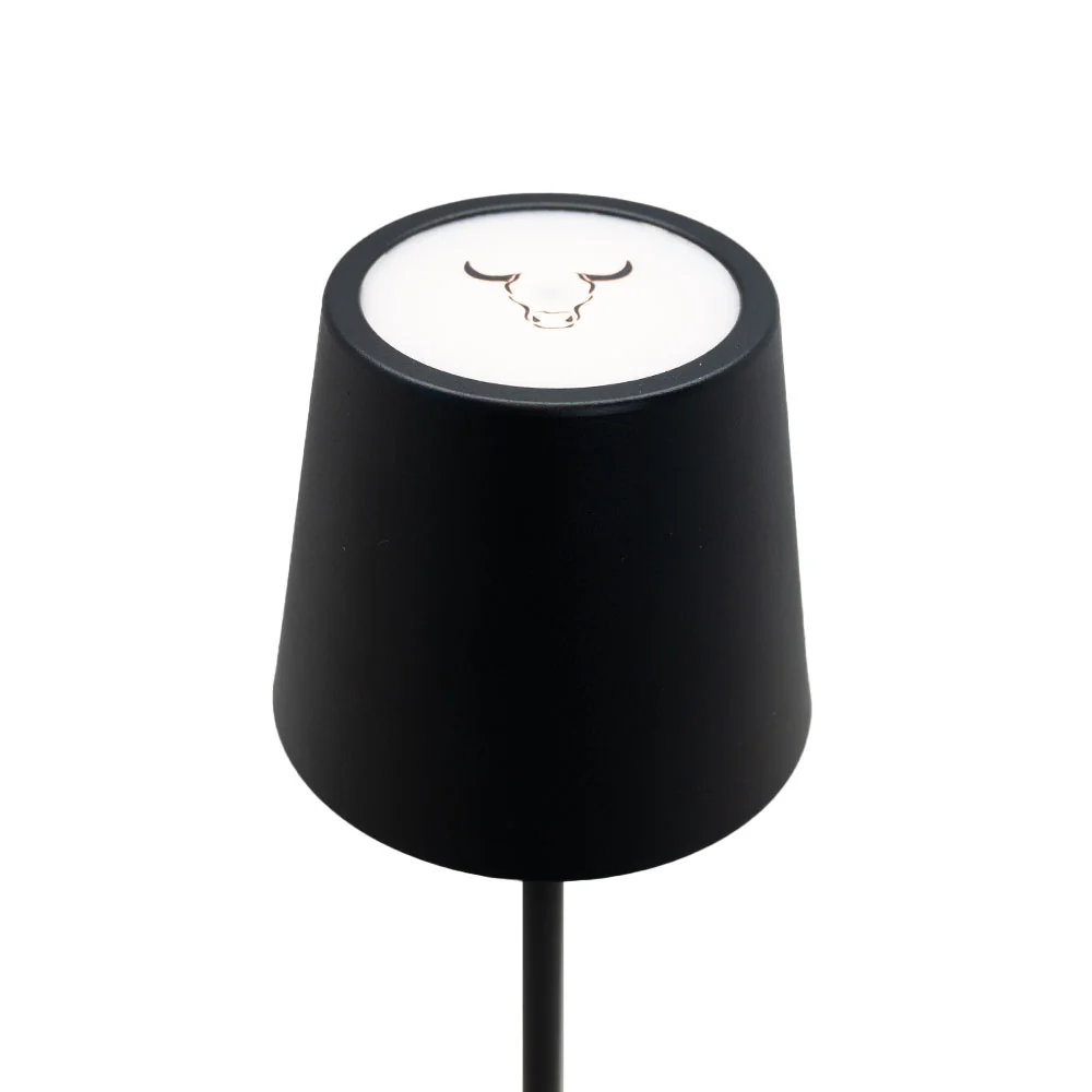 
                  
                    Lampara Quincho con Cargador USB Wayu
                  
                